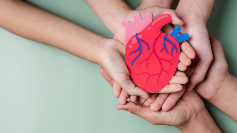 Prioritize Your Heart with the Right Tools from Hart Medical 