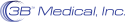 3B Medical Inc 3B Medical Inc