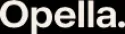 CHATTEM INC