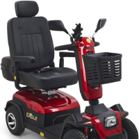 Image of Golden Eagle Heavy-Duty Recreational Scooter
