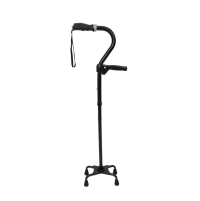 Image of Vive Stand Assist Cane