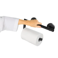 Vive Metal Grab Bar With Toilet Paper Holder Photo